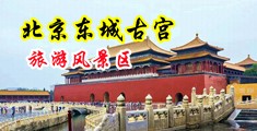 馒头逼Sm中国北京-东城古宫旅游风景区